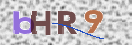 verifikacioni kod